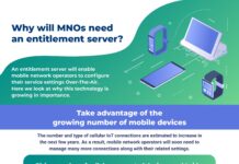 Why Will Mobile Network Operators Need An Entitlement Server?