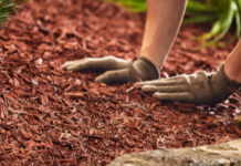 Mulch Delivery Near Me, How to Find The Perfect Mulch Near Me Delivery