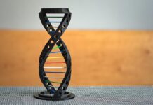 Discover The Gene: An Intimate History by Siddhartha Mukherjee Discover The Gene: An Intimate History by Siddhartha Mukherjee