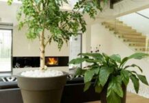 How to Decorate Your Living Room: The 9 Essentials How to Decorate Your Living Room