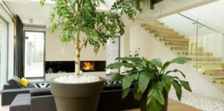 How to Decorate Your Living Room
