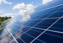 5 Key Reasons Your Business Should Go Solar