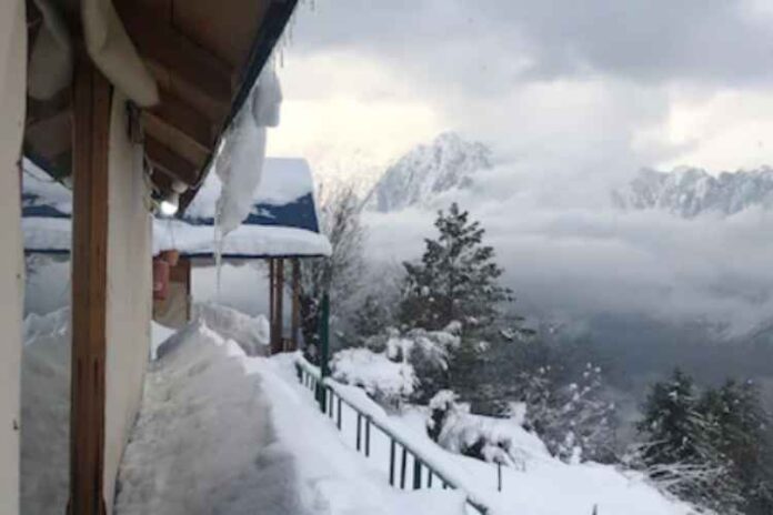 The List Of Popular Auli Hotels