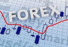 Forex Trading Tips: Advice & Mistakes to Avoid Forex Trading Tips