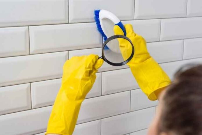 7 Pros of a Choosing Professional Cleaning Services