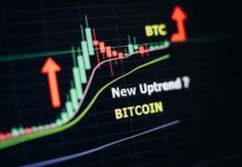 Bitcoin Price Prediction for the Future Bitcoin Price Prediction for the Future