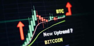 Bitcoin Price Prediction for the Future Bitcoin Price Prediction for the Future