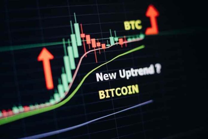 Bitcoin Price Prediction for the Future