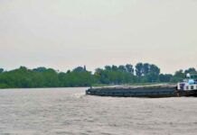 5 Things to Know About International Shippers Shippers