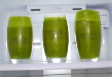 The Popular Types Of Frozen Smoothies Packs And Their Benefits The Popular Types Of Frozen Smoothies Packs And Their Benefits