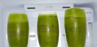 The Popular Types Of Frozen Smoothies Packs And Their Benefits