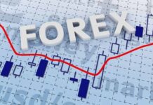 What Is The Best Forex Trading Platform For You? What Is The Best Forex Trading Platform For You?