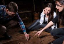 5 Reasons to Do an Escape Room Challenge for Team Building 5 Reasons to Do an Escape Room Challenge for Team Building