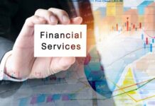 Key Roles of the Financial Services