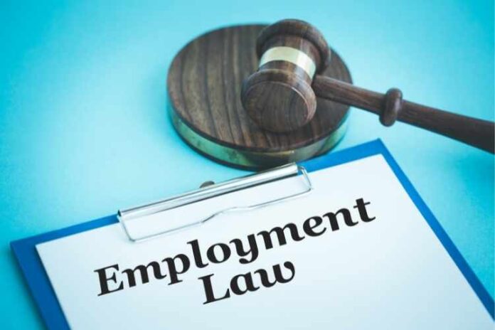 Employment Law Attorneys: Task