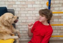 How to Recognize and Handle Puppy Aggression? How to Recognize and Handle Puppy Aggression?