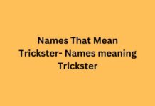 Names That Mean Trickster- Names meaning Trickster Names That Mean Trickster