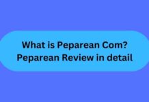 What is Peparean Com? Peparean Review in detail Peparean Review