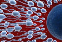 Does Releasing Sperm Make You Lose Weight?: Know about It in Detail Releasing Sperm