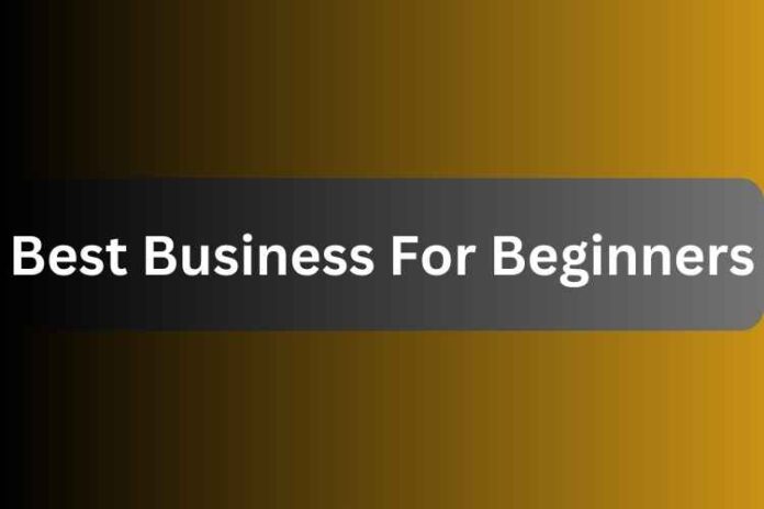 Best Business For Beginners