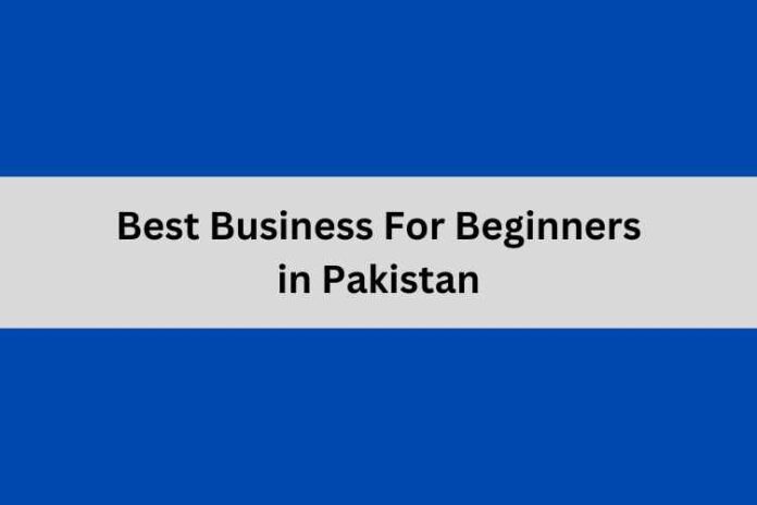 Best Business For Beginners in Pakistan