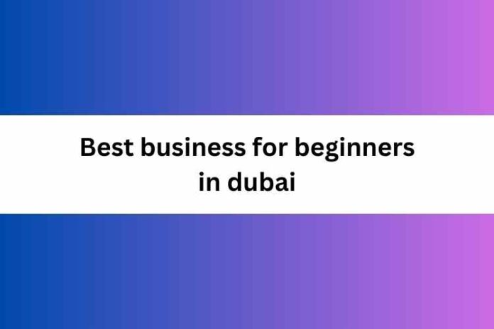 Best business for beginners in dubai