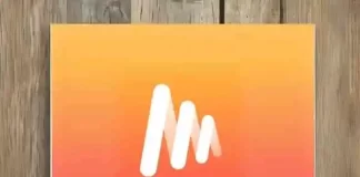 Musi APP Review