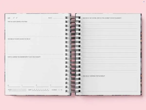 Ivory Paper Co Ivory Paper Co