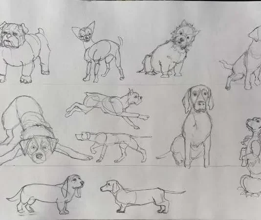 How to Draw Canines : A Simple Guide for Beginners How to Draw Canines